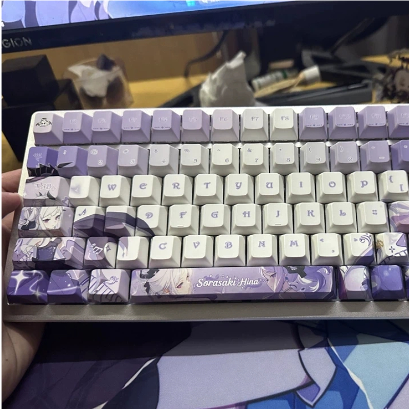 Blue Archive Sorasaki Hina Ani - Custom Keycaps 评论和价格