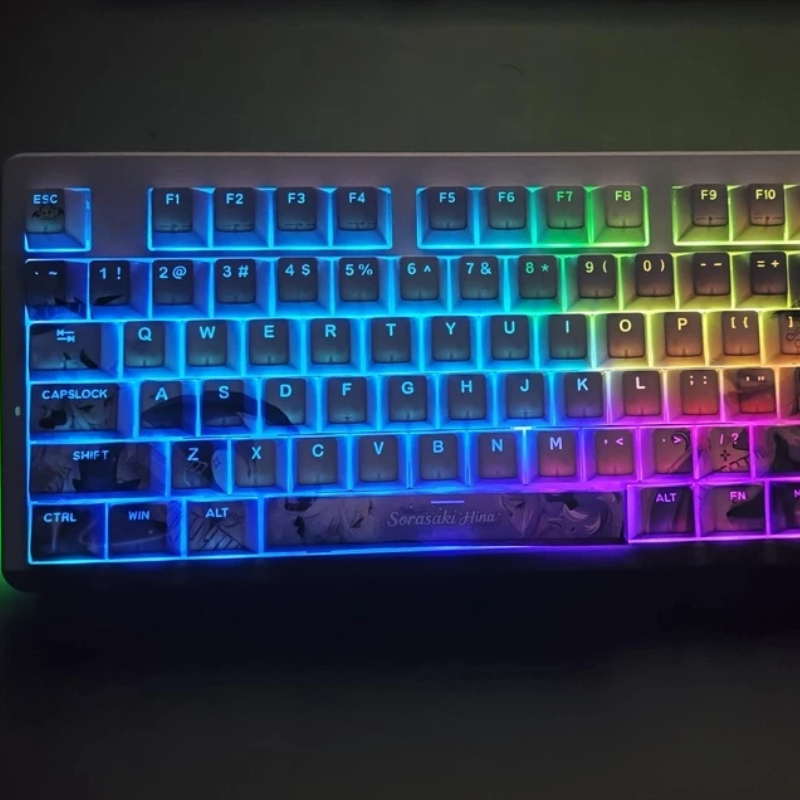 Blue Archive Sorasaki Hina Ani - Custom Keycaps 评论和价格